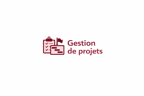Juste un petit graphique pour voir que l'on se trouve dans la catégorie de gestion de Projet